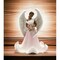 Wings of an Angel - African American Angel Figurine Gift Idea or Home Decoration